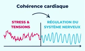Schéma illustrant les bienfaits de la cohérence cardiaque : passage du stress à la régulation du système nerveux, symbolisé par des courbes.