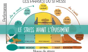 Graphique illustrant les phases du stress, de l'inactivité au burn-out. Comprendre ces étapes aide à savoir comment soigner le stress avant l'épuisement.