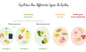 Diagramme illustrant les acides gras insaturés (oméga-3, -6, -9) et saturés, avec des exemples d'aliments.