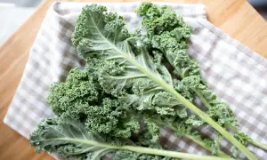 Des feuilles de chou kale frisé, d'un vert profond, reposent sur un torchon à carreaux. Attention, ce légume peut contenir des dangers pour certains.