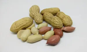 Amandes et cacahuètes décortiquées, un aperçu des cacahuètes bienfaits pour la santé.