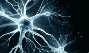 Neurone bleu lumineux, symbolisant la connexion et la transmission nerveuse. La vitamine B9 aide à gérer le stress en soutenant le système nerveux.