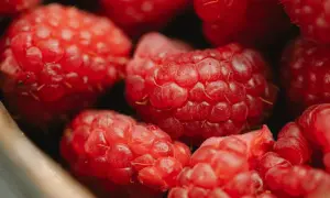Gros plan sur des framboises juteuses, pleines de vitamines et de bienfaits pour la santé. Un délice rouge vif.