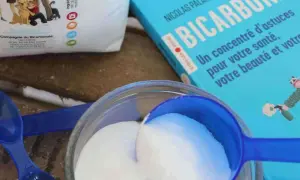 Bicarbonate de soude : un concentré d'astuces pour votre santé, votre beauté et votre digestion. Une cuillère bleue remplit de poudre blanche.