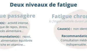 Causes de fatigue : passagère (intense activité, stress) ou chronique (non identifiable). Consultation médicale pour la fatigue persistante.