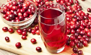 Un verre de jus de cranberry rouge vif, entouré de baies fraîches. Est-ce que le cranberry fait uriner ? Cette boisson est connue pour ses bienfaits.