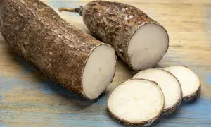 Deux racines de manioc coupées, révélant leur chair blanche. Les rondelles de manioc sur la table en bois rappellent ses nombreux manioc bienfaits nutritionnels.
