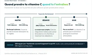 Guide pratique : la dose maximale de vitamine C par jour est de 200 mg, fractionnée le matin, pendant l'effort et le soir.