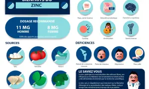Le zinc est essentiel pour la peau, la fertilité, les fonctions cognitives et la santé osseuse. Découvrez pourquoi prendre du zinc et ses sources.