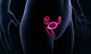 Illustration d'un utérus antéversé, organe reproducteur féminin rose vif, sur fond noir.