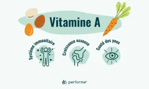 Vitamine A : essentielle pour le système immunitaire, la croissance osseuse et la santé des yeux. Carottes, œufs, et bien plus !