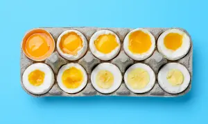 Dix œufs dans une boîte, du cru au dur, montrant la variation de la texture et de la couleur du jaune. Le **calorie œuf** change selon sa cuisson.