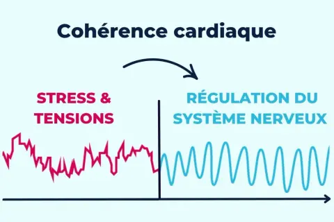 Schéma illustrant les bienfaits de la cohérence cardiaque : passage du stress à la régulation du système nerveux, symbolisé par des courbes.