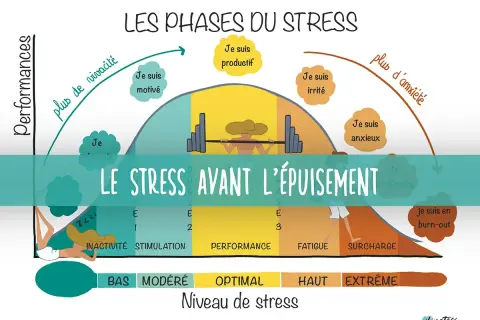 Graphique illustrant les phases du stress, de l'inactivité au burn-out. Comprendre ces étapes aide à savoir comment soigner le stress avant l'épuisement.