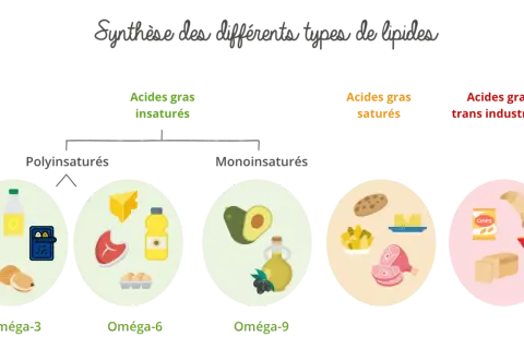 Diagramme illustrant les acides gras insaturés (oméga-3, -6, -9) et saturés, avec des exemples d'aliments.