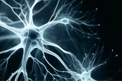 Neurone bleu lumineux, symbolisant la connexion et la transmission nerveuse. La vitamine B9 aide à gérer le stress en soutenant le système nerveux.