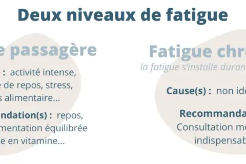 Deux niveaux de fatigue : passagère (causes : stress, manque de repos) et chronique (cause non identifiable). La grosse fatigue chronique nécessite une consultation médicale.