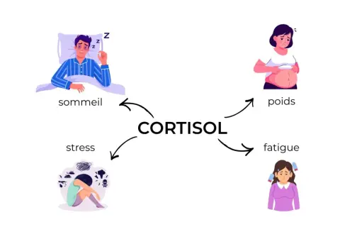 Le cortisol, lié au stress, affecte le sommeil, le poids, et cause fatigue et anxiété.
