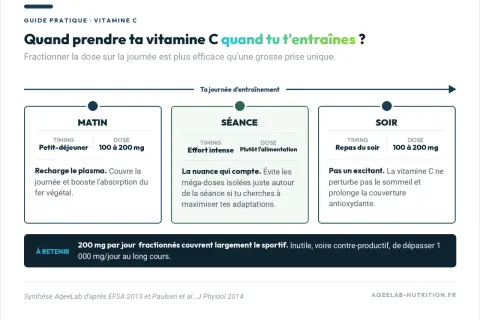 Guide pratique : la dose maximale de vitamine C par jour est de 200 mg, fractionnée le matin, pendant l'effort et le soir.
