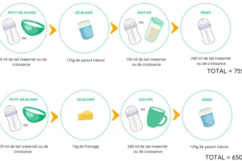 Deux exemples de journées pour un enfant, montrant combien de calcium par jour est recommandé via lait, yaourt et fromage.