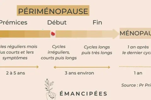 Schéma illustrant les étapes de la périménopause, de ses prémices à la ménopause, avec les changements de cycles et symptômes associés.