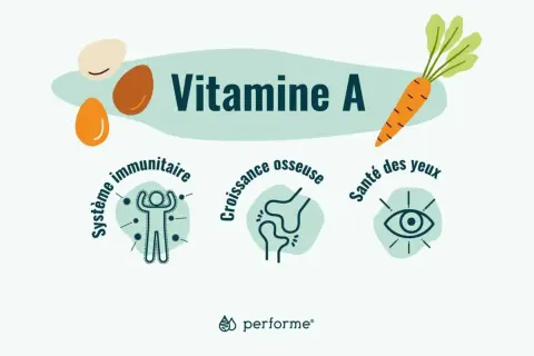 Vitamine A : essentielle pour le système immunitaire, la croissance osseuse et la santé des yeux. Carottes, œufs, et bien plus !