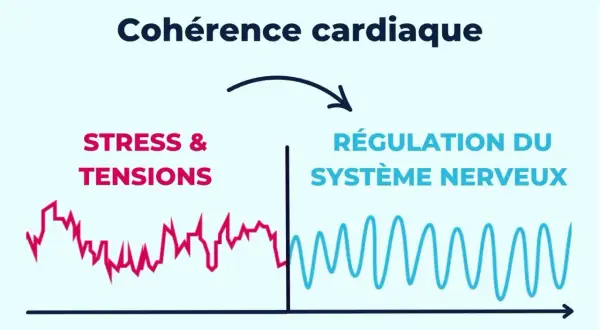 Schéma illustrant les bienfaits de la cohérence cardiaque : passage du stress à la régulation du système nerveux, symbolisé par des courbes.