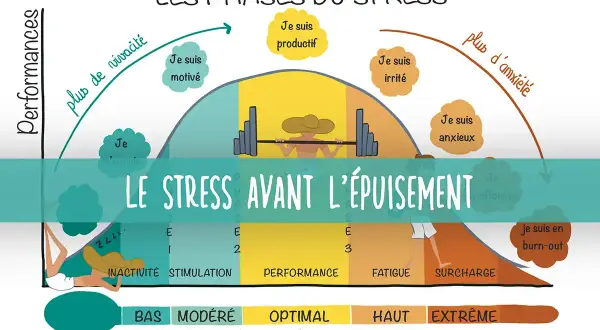 Graphique illustrant les phases du stress, de l'inactivité au burn-out. Comprendre ces étapes aide à savoir comment soigner le stress avant l'épuisement.