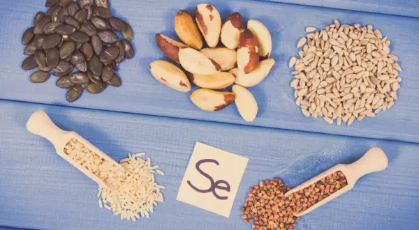 Graines de citrouille, noix du Brésil, graines de tournesol, riz, sarrasin et la carte "Se" symbolisant le sélénium aliment.