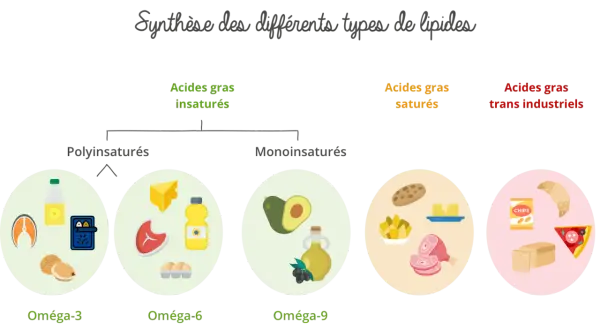 Diagramme illustrant les acides gras insaturés (oméga-3, -6, -9) et saturés, avec des exemples d'aliments.