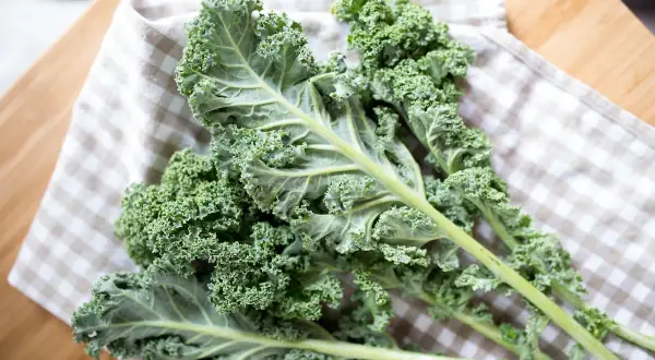 Des feuilles de chou kale frisé, d'un vert profond, reposent sur un torchon à carreaux. Attention, ce légume peut contenir des dangers pour certains.