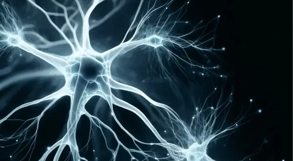 Neurone bleu lumineux, symbolisant la connexion et la transmission nerveuse. La vitamine B9 aide à gérer le stress en soutenant le système nerveux.