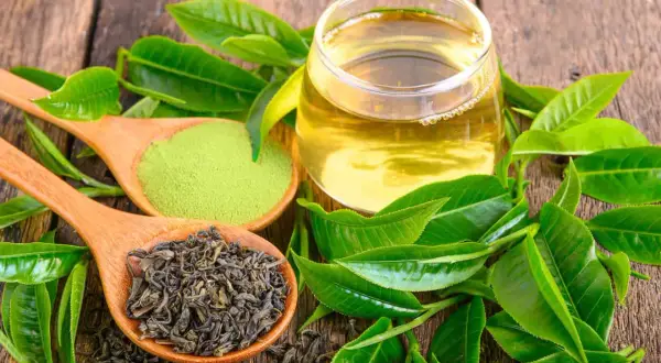 Cuillère de thé vert en vrac, poudre de matcha et verre de thé infusé, entourés de feuilles fraîches. Découvrez les thé vert bienfaits.