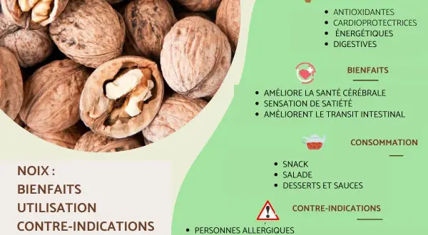Gros plan sur des noix, mettant en avant leurs nombreux bienfaits pour la santé, comme l'amélioration de la santé cérébrale et le transit intestinal.