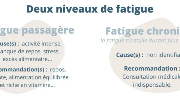 Causes de fatigue : passagère (intense activité, stress) ou chronique (non identifiable). Consultation médicale pour la fatigue persistante.