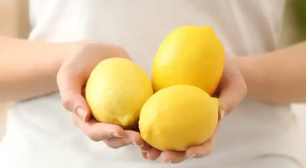 Trois citrons jaunes brillants tenus dans des mains, parfaits pour une cure détox du citron pour le foie.