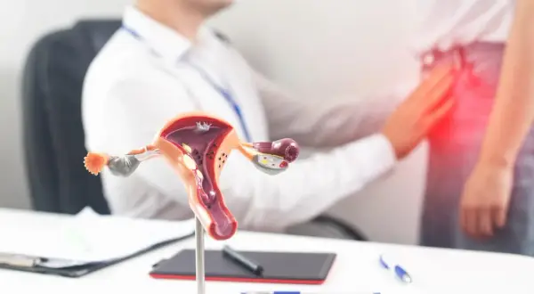 Modèle anatomique de l'utérus et des ovaires, avec un médecin examinant une patiente souffrant de douleurs pelviennes, suggérant des symptômes de maladie pelvienne inflammatoire.