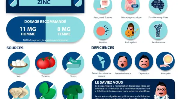 Le zinc est essentiel pour la peau, la fertilité, les fonctions cognitives et la santé osseuse. Découvrez pourquoi prendre du zinc et ses sources.