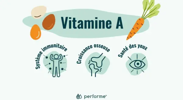 Vitamine A : essentielle pour le système immunitaire, la croissance osseuse et la santé des yeux. Carottes, œufs, et bien plus !