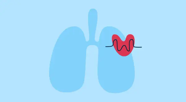 Poumons bleus stylisés avec un cœur rouge et une ligne d'électrocardiogramme. La cohérence cardiaque peut aider à réduire l'anxiété.