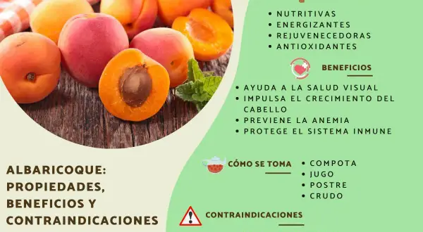 Des abricots frais sur fond de bois, avec une liste de leurs propriétés, bienfaits et contre-indications. Les abricot bienfaits sont nombreux pour la santé.