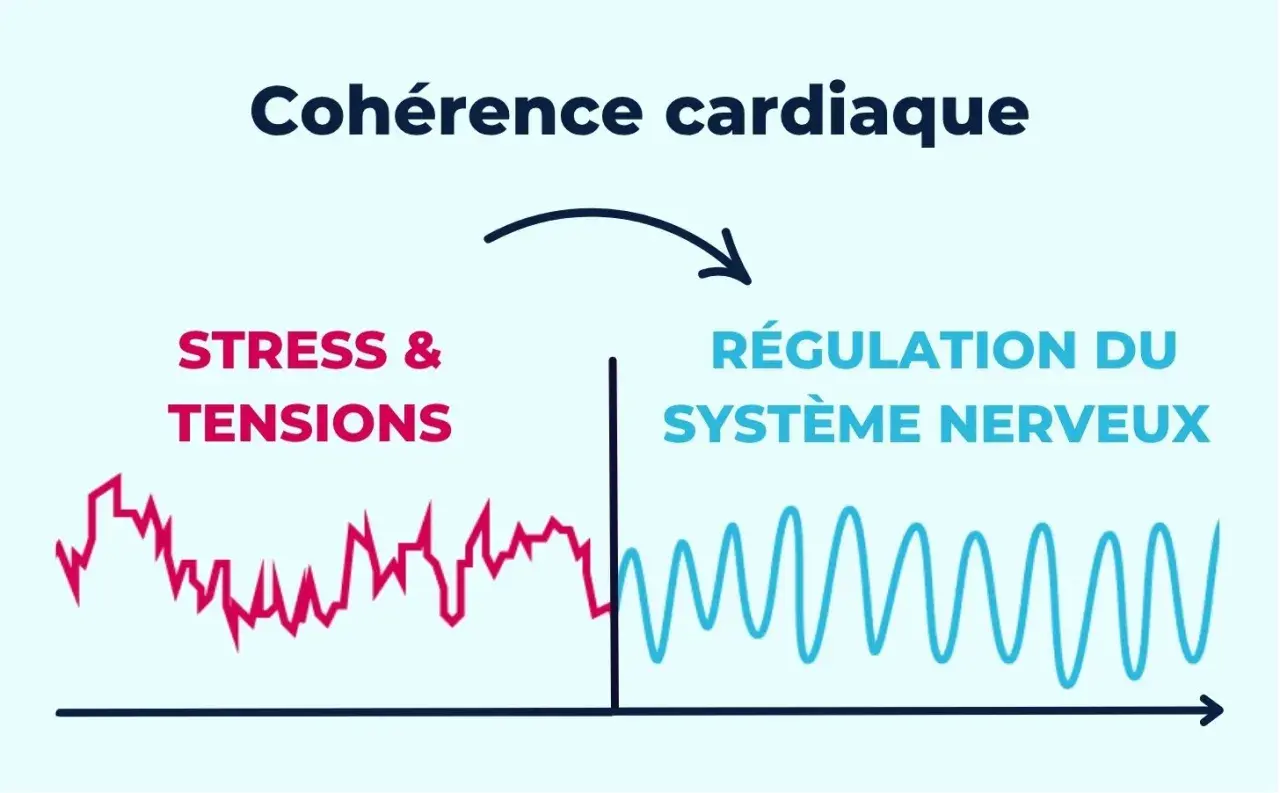 Schéma illustrant les bienfaits de la cohérence cardiaque : passage du stress à la régulation du système nerveux, symbolisé par des courbes.