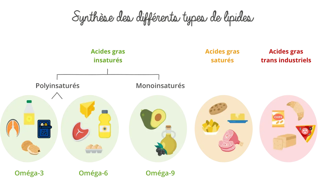 Diagramme illustrant les acides gras insaturés (oméga-3, -6, -9) et saturés, avec des exemples d'aliments.