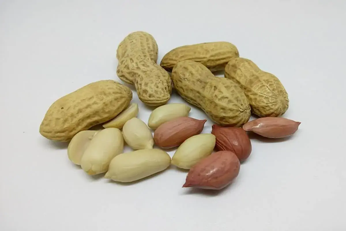 Amandes et cacahuètes décortiquées, un aperçu des cacahuètes bienfaits pour la santé.