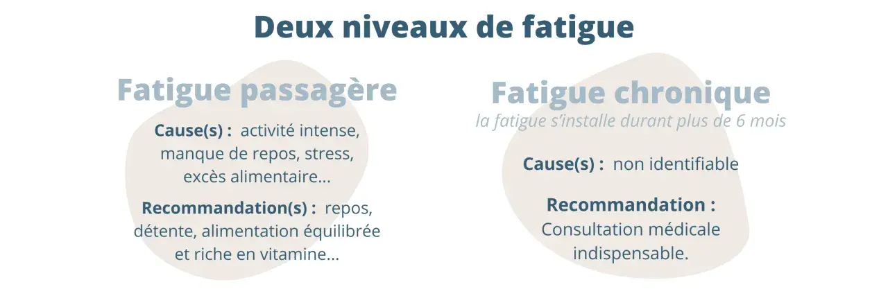 Deux niveaux de fatigue : passagère (causes : stress, manque de repos) et chronique (cause non identifiable). La grosse fatigue chronique nécessite une consultation médicale.