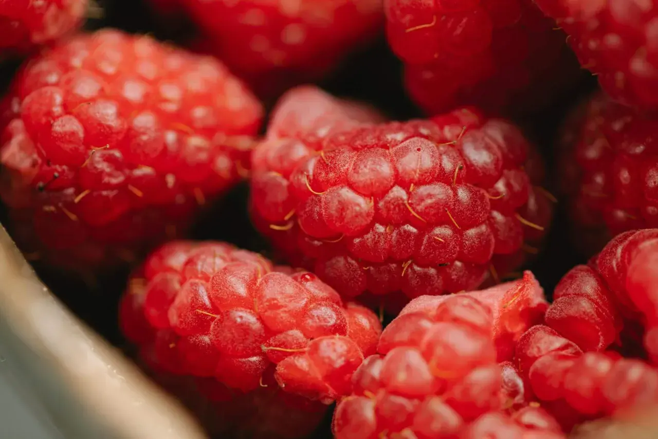 Gros plan sur des framboises juteuses, pleines de vitamines et de bienfaits pour la santé. Un délice rouge vif.