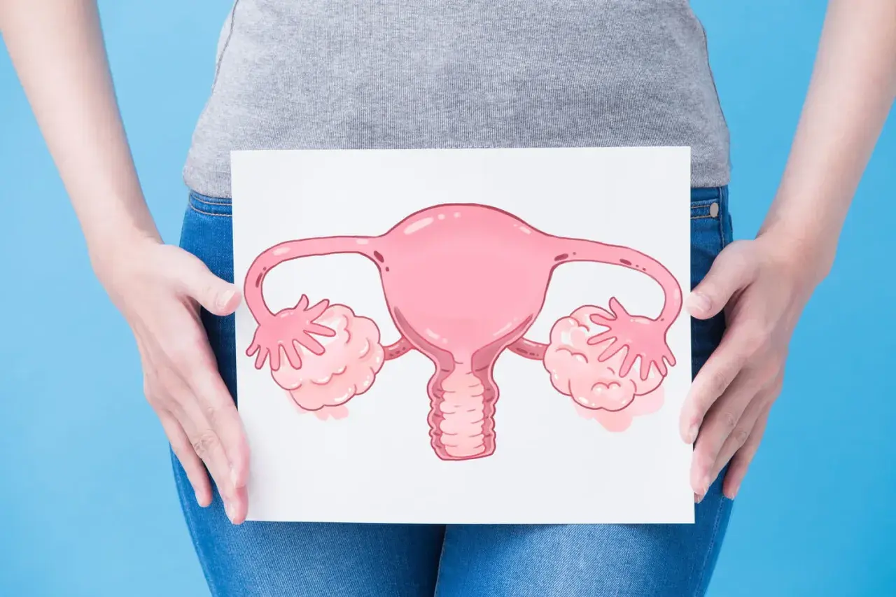 Une femme tient une illustration d'organes reproducteurs féminins, symbolisant peut-être une mycose ou des douleurs aux ovaires.