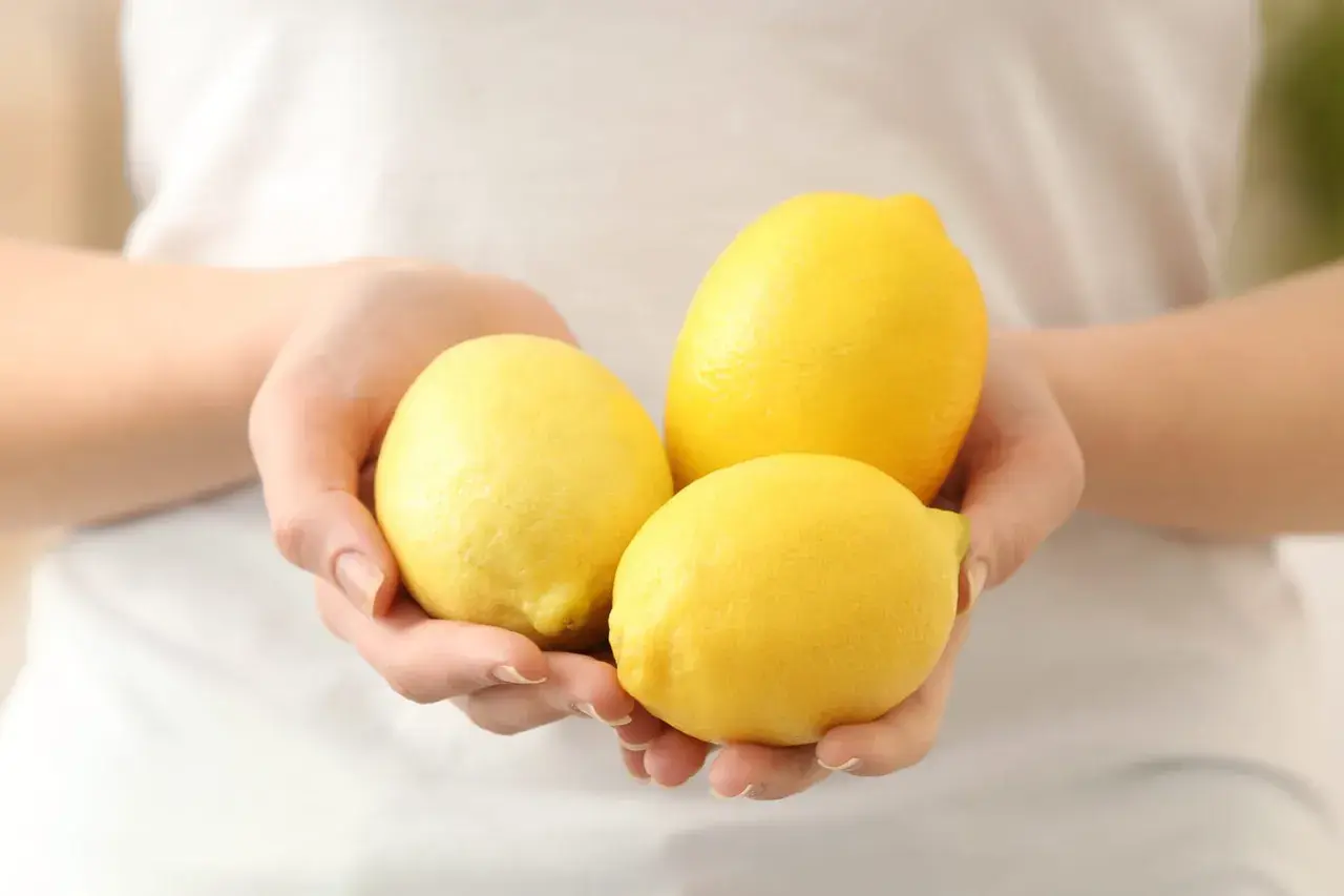 Trois citrons jaunes brillants tenus dans des mains, parfaits pour une cure détox du citron pour le foie.