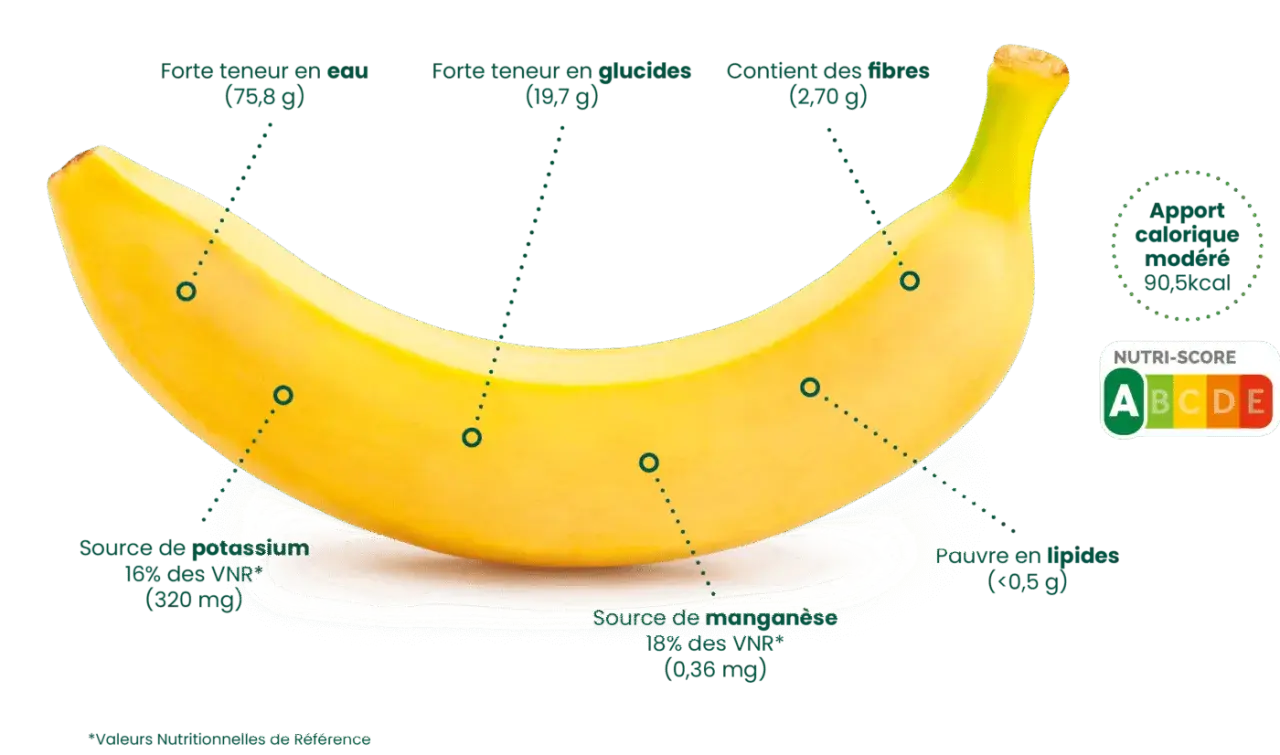 Une banane jaune, riche en eau, glucides et fibres, source de potassium et manganèse, avec un apport calorique modéré et un Nutri-Score A.