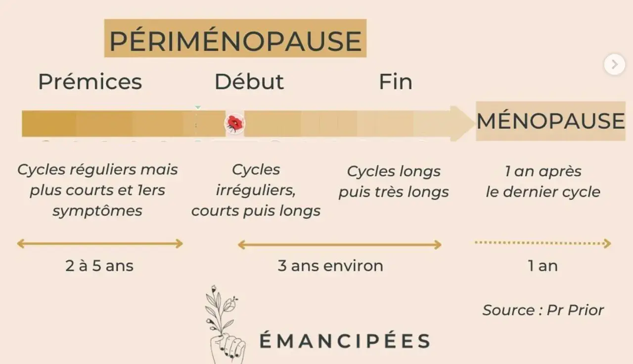 Schéma illustrant les étapes de la périménopause, de ses prémices à la ménopause, avec les changements de cycles et symptômes associés.